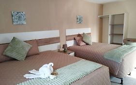 Hotel Urban Home